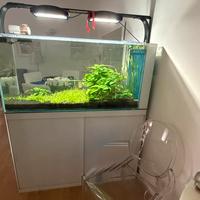 Acquario marino  o dolce malberti