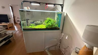 Acquario marino  o dolce malberti