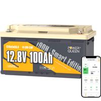2 Batteria NUOVE al litio LiFePo