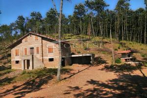 Casa singola in campagna con terreno, V/890
