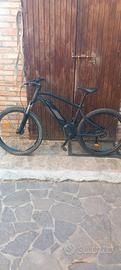 bicicletta elettrica 