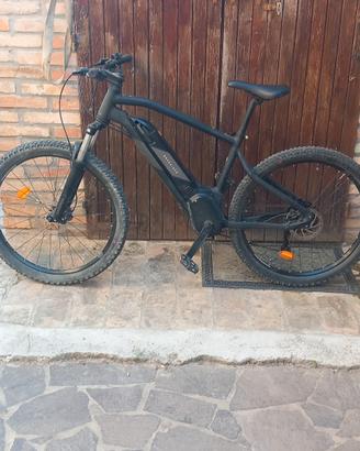bicicletta elettrica 