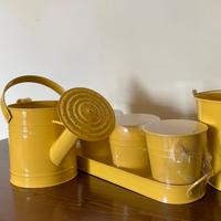 Set giardinaggio zincato giallo