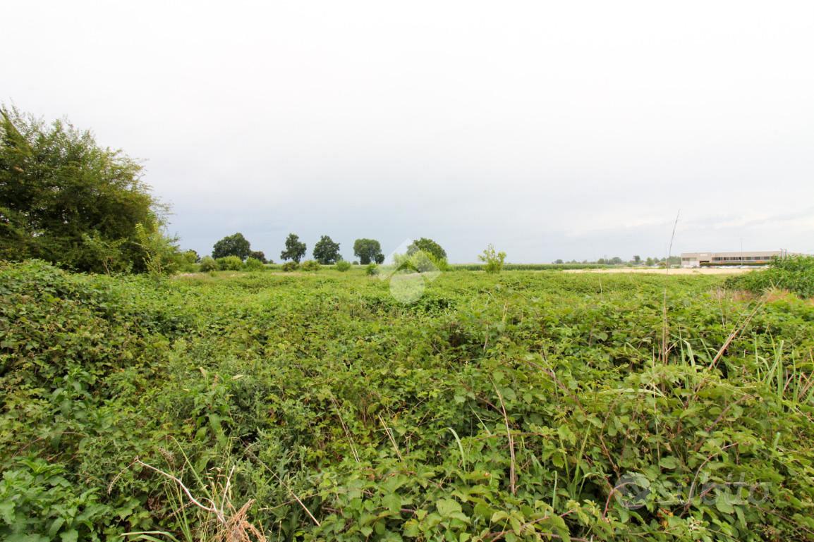 TERRENO A CASALBUTTANO ED UNITI - Vista 4