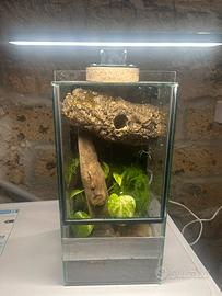 Terrario 20x20x40 bioattivo