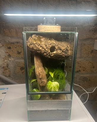 Terrario 20x20x40 bioattivo