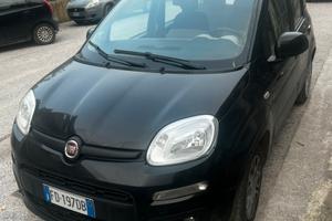 Fiat panda anno 2017