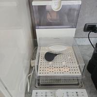 vaporiera Vivo vapo jet