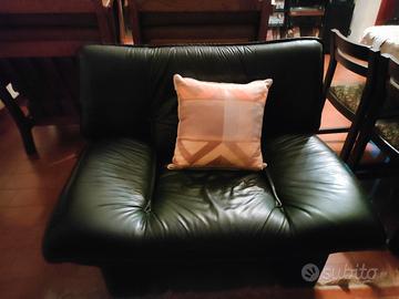 Poltrone in pelle 