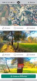 Terreno in c.da Padreterno a Racalmuto (AG)