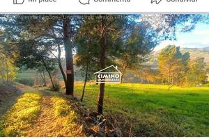 Terreno in c.da Padreterno a Racalmuto (AG)