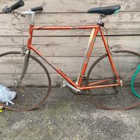 Bicicletta da corsa Argiró