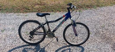 bici 24 poliici
