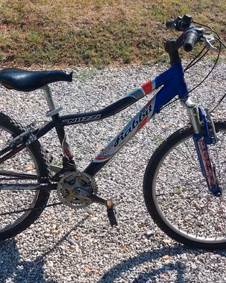 bici 24 poliici