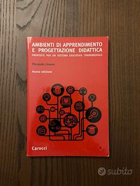 Ambienti di Apprendimento e P. Didattica. P.Limone