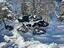 Immagine 2