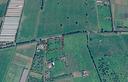 terreno-agricolo-piantumato