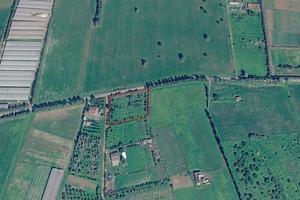 Terreno agricolo piantumato