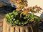 Immagine 27