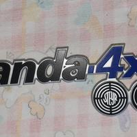 Scritta logo badge Fiat Panda 4x4