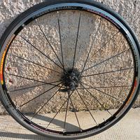 mavic ksyrium elite