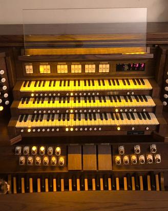 Organo Viscount Prestige 100