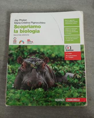 libro