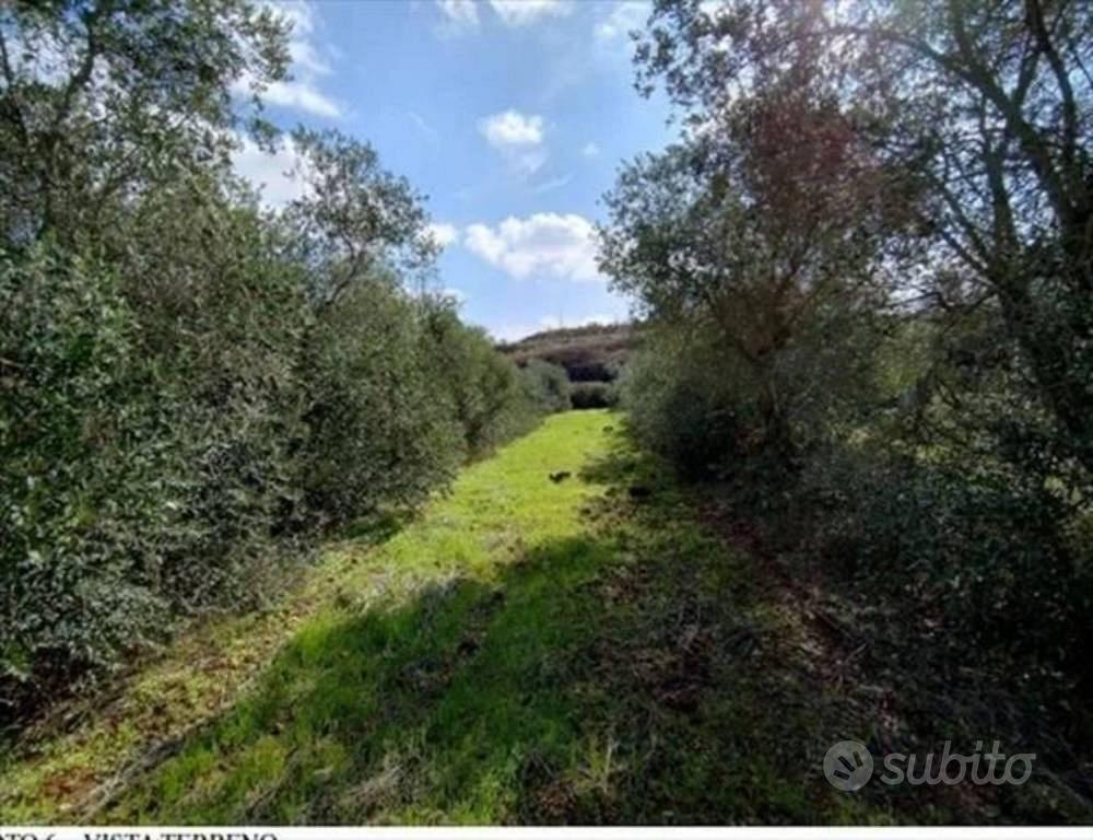 Immobile in asta di 22562 m² a Cavallino - Vista 2