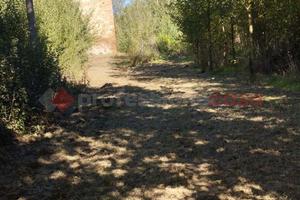 Terreno Agricolo Arezzo [RIF VA14VCG]