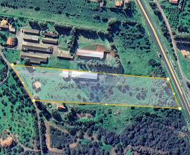 Azienda Agricola - Villa San Pietro