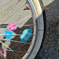 Bici Salmone 20 pollici Bambina