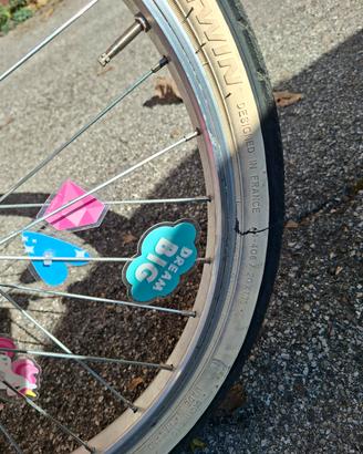 Bici Salmone 20 pollici Bambina