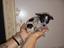 Immagine 1
