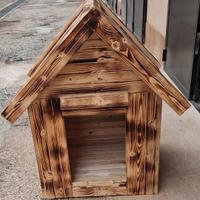 cuccia cane