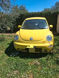 Maggiolone New Beetle