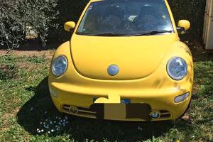 Maggiolone New Beetle