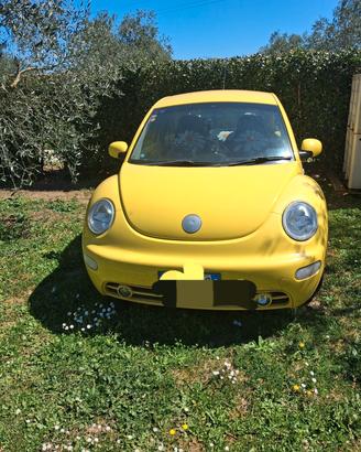 Maggiolone New Beetle