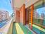 Immagine 7