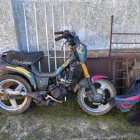 Malaguti fifty top