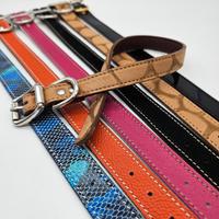 collari in pelle per cani