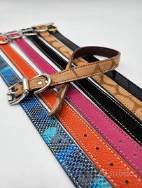 collari in pelle per cani