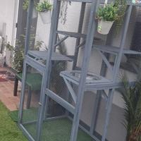 catio per gatti 