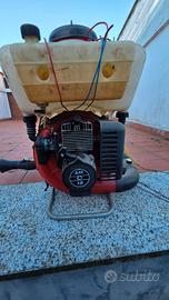 Atomizzatore professionale