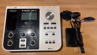 Roland VIMA JM5