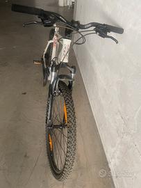 2 Splendide Bici