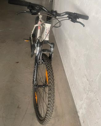2 Splendide Bici