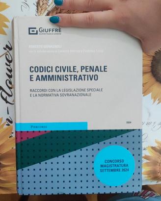 Codici civile penale amministrativo Giovagnoli