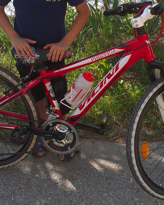 Mountain bike 24" Vicini