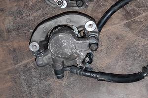 PINZE ant/post SH 300 dal 2009/2015