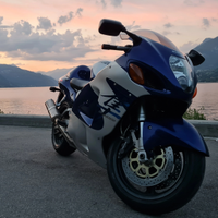 Suzuki Hayabusa